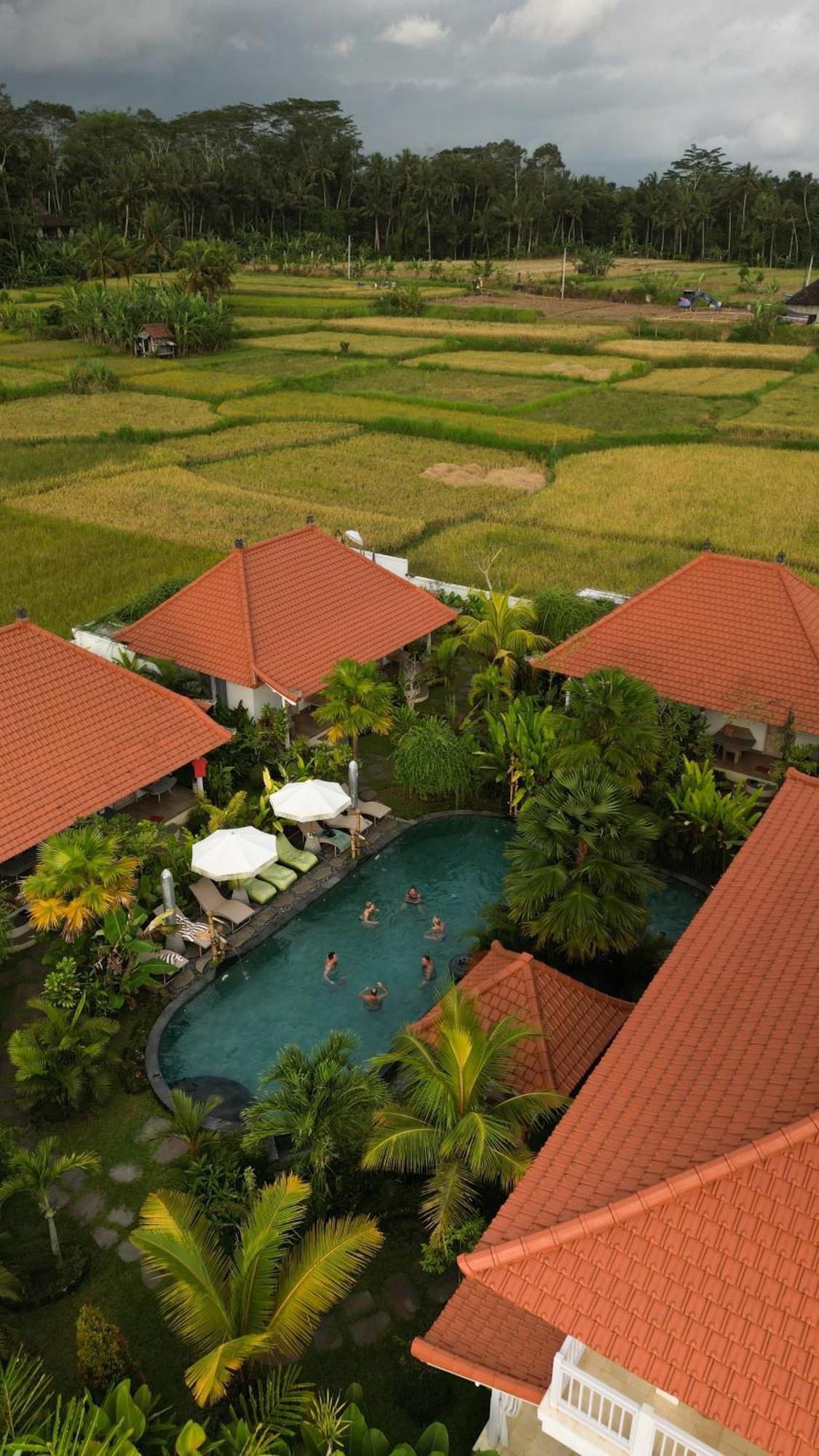 Tulus Hati Ubud Retreat מראה חיצוני תמונה